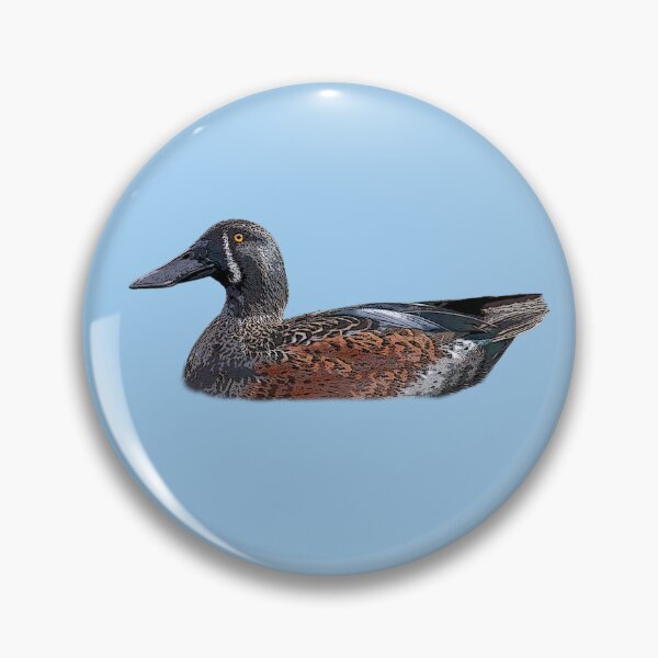 Item preview, Australasian Shoveler Color Design  designed and sold by designsasstultd.