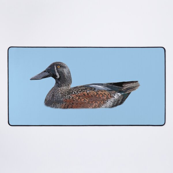 Item preview, Australasian Shoveler Color Design designed and sold by designsasstultd.