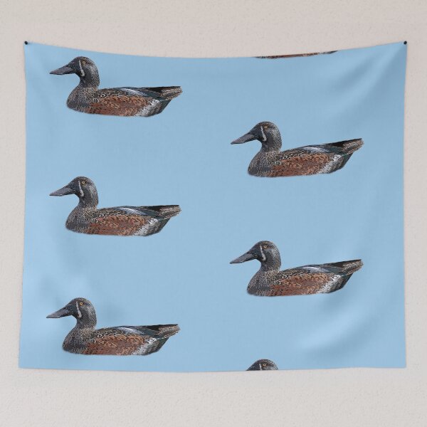 Item preview, Australasian Shoveler Color Design  designed and sold by designsasstultd.