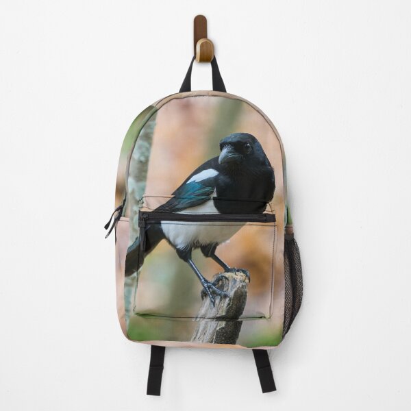 Item preview, Top Shot. Eurasian magpie designed and sold by Jouko Lehto Photography.