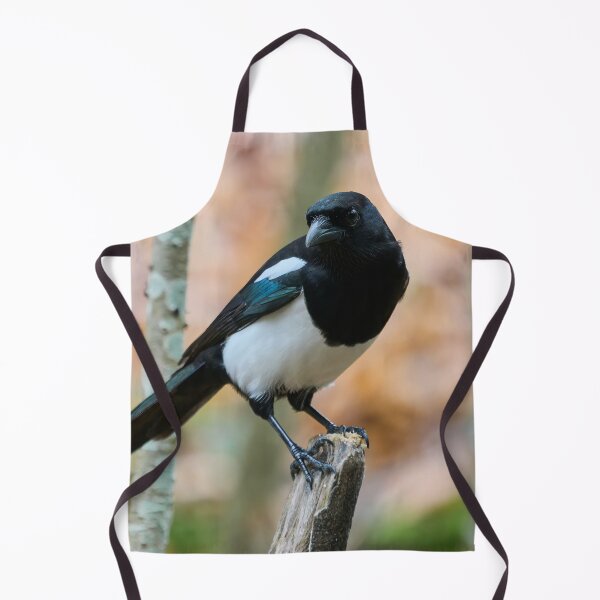 Item preview, Top Shot. Eurasian magpie designed and sold by Jouko Lehto Photography.