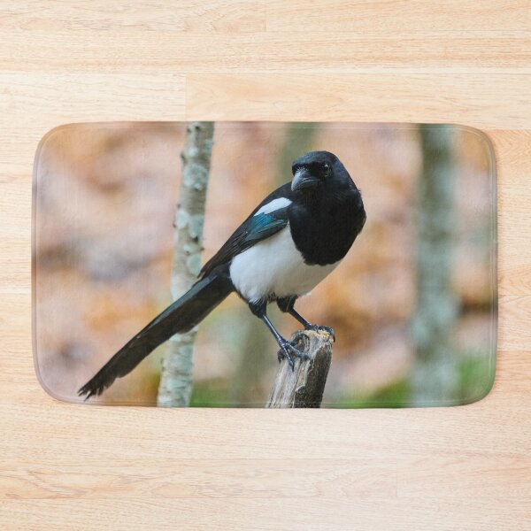 Item preview, Top Shot. Eurasian magpie designed and sold by Jouko Lehto Photography.