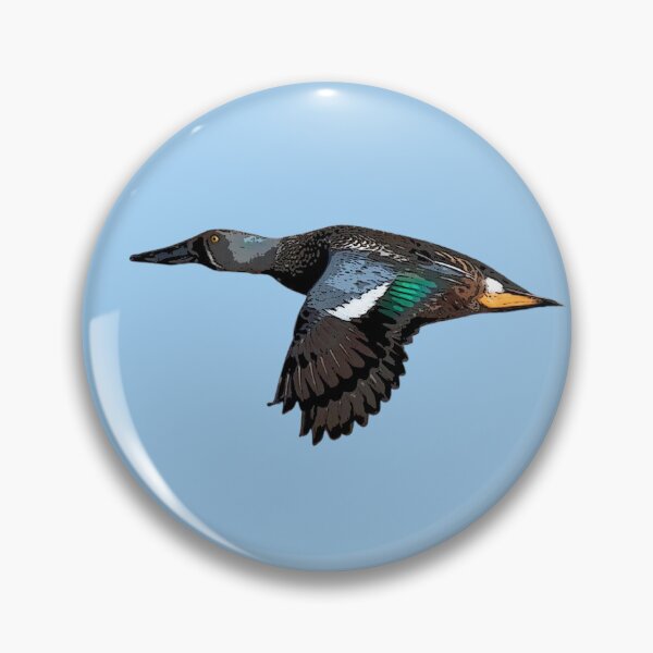 Item preview, Flying Australasian Shoveler Color Design  designed and sold by designsasstultd.