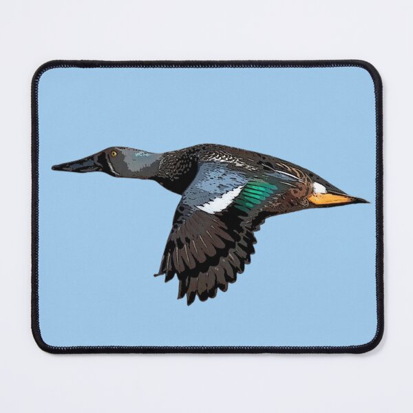 Item preview, Flying Australasian Shoveler Color Design designed and sold by designsasstultd.