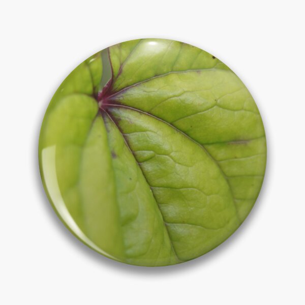 Item preview, cute leaf photograph designed and sold by El-images1.
