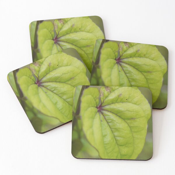 Item preview, cute leaf photograph designed and sold by El-images1.