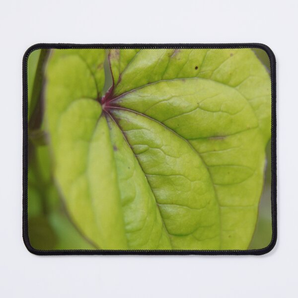 Item preview, cute leaf photograph designed and sold by El-images1.