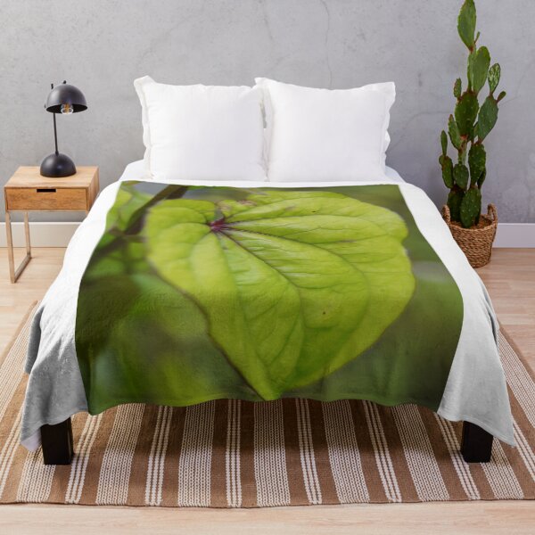 Item preview, cute leaf photograph designed and sold by El-images1.