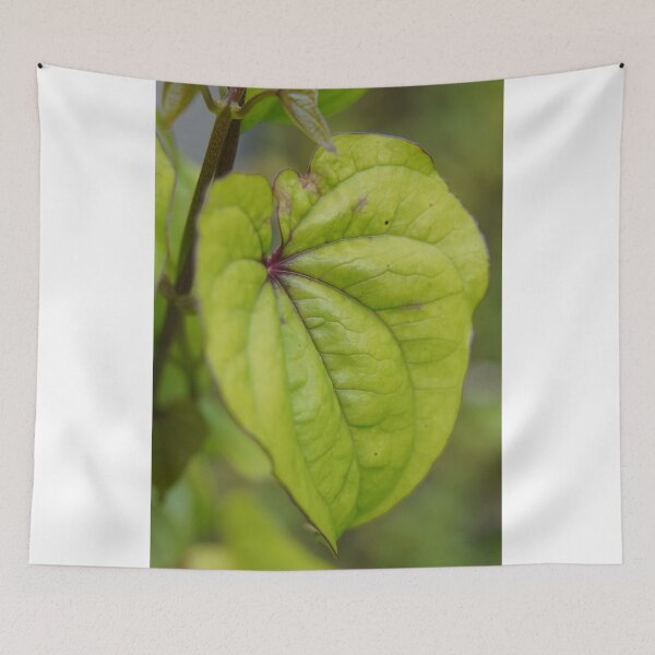 Item preview, cute leaf photograph designed and sold by El-images1.