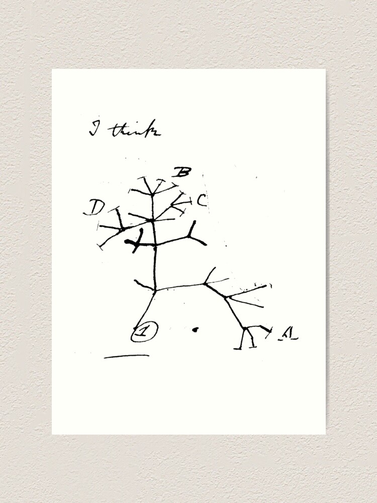 Darwin Tree Of Life Evolution Science Shirt Biology Nerdy Darwin Tree Of Life Evolution Science Shirt Biology Nerdy