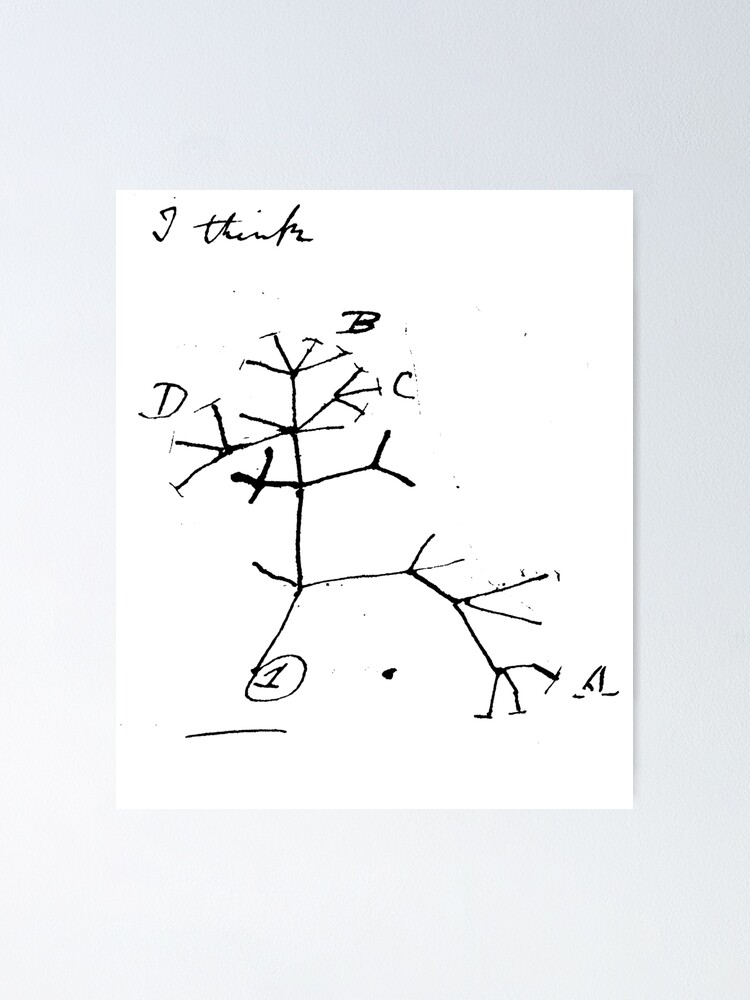 Darwin Tree Of Life Evolution Science Shirt Biology Nerdy Darwin Tree Of Life Evolution Science Shirt Biology Nerdy