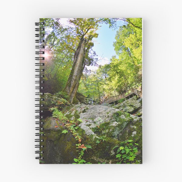 Item preview, La belleza de Catawba Falls, Carolina del Norte designed and sold by LisaWootenPhoto.