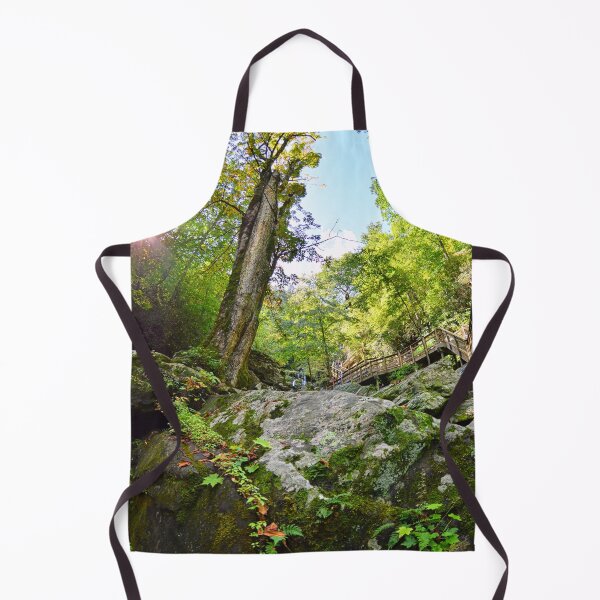 Item preview, The Beauty Of Catawba Falls North Carolina designed and sold by LisaWootenPhoto.