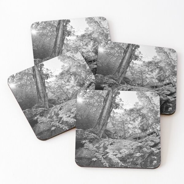 Item preview, The Beauty Of Catawba Falls North Carolina Black And White designed and sold by LisaWootenPhoto.