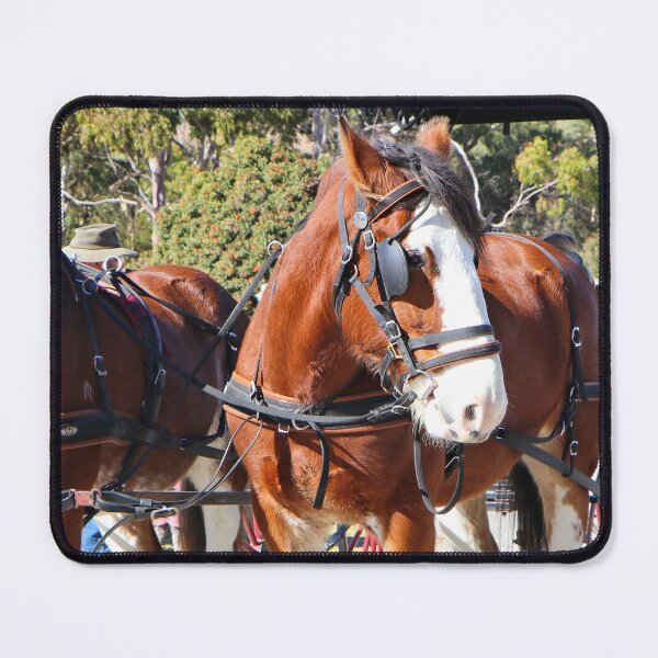 Item preview, Clydesdale horses harnessed to pull the carriage designed and sold by FranWest.