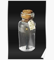 A Lantern in the Woods (Narnian Adventures) Poster