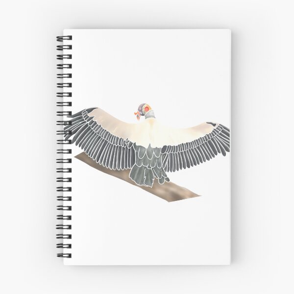 Item preview, Sunning King Vulture  designed and sold by A-inProgress.