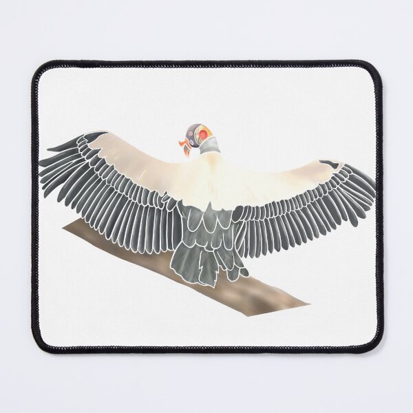 Item preview, Sunning King Vulture  designed and sold by A-inProgress.