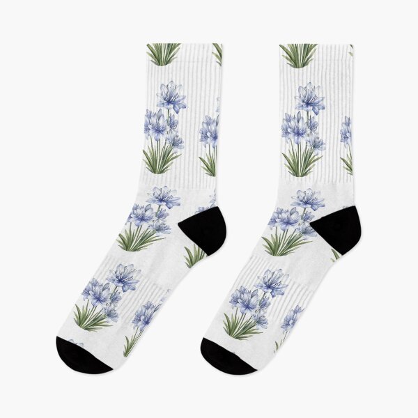Item preview, Bicolor Agapanthus (Agapanthus africanus) designed and sold by HOMETOWN86.