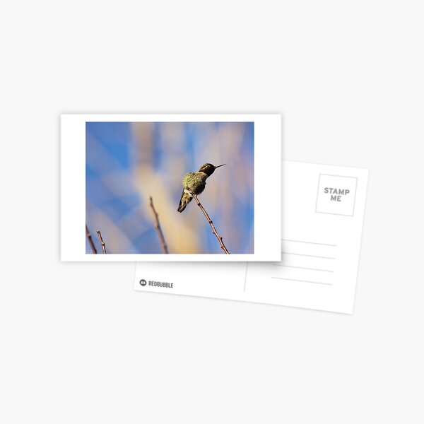 Golden Opportunity Postcard