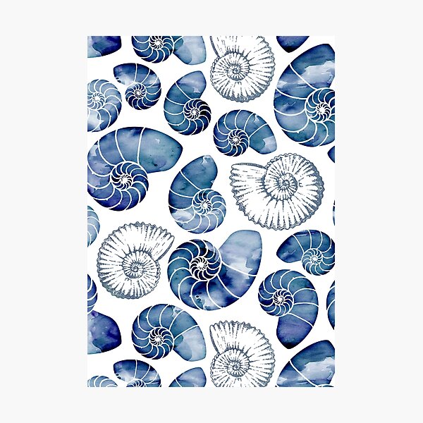 Item preview, Blue nautilus shells on white designed and sold by adenaJ.