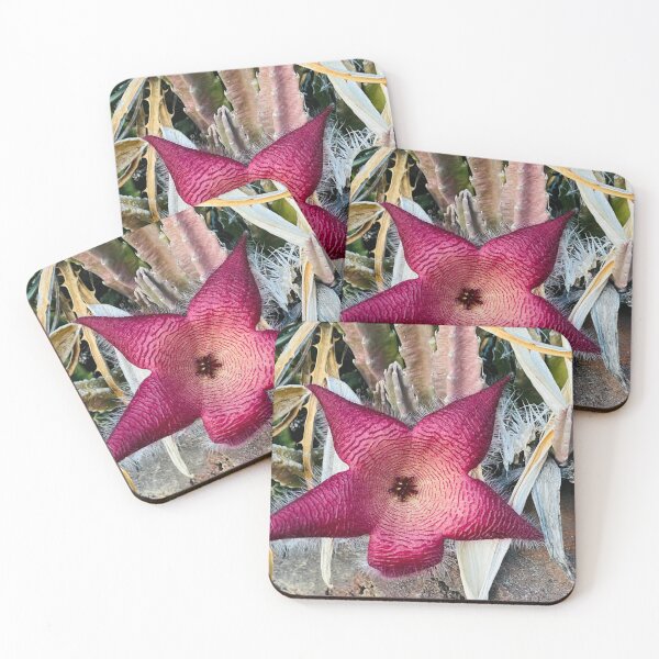 Item preview,  cactus flower 3 designed and sold by CrystalCoreArt.