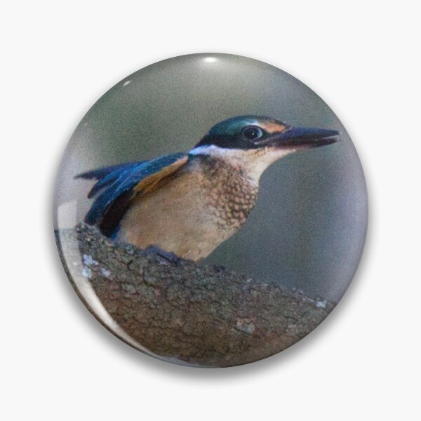 Item preview, When a Willie Wagtail makes its presence know to the fledgling Kingfisher designed and sold by BirdsAlive.