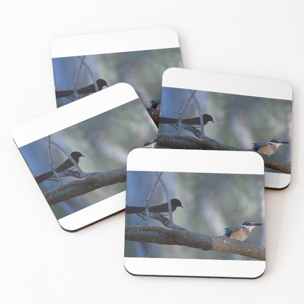 Item preview, When a Willie Wagtail makes its presence know to the fledgling Kingfisher designed and sold by BirdsAlive.