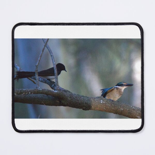 Item preview, When a Willie Wagtail makes its presence know to the fledgling Kingfisher designed and sold by BirdsAlive.