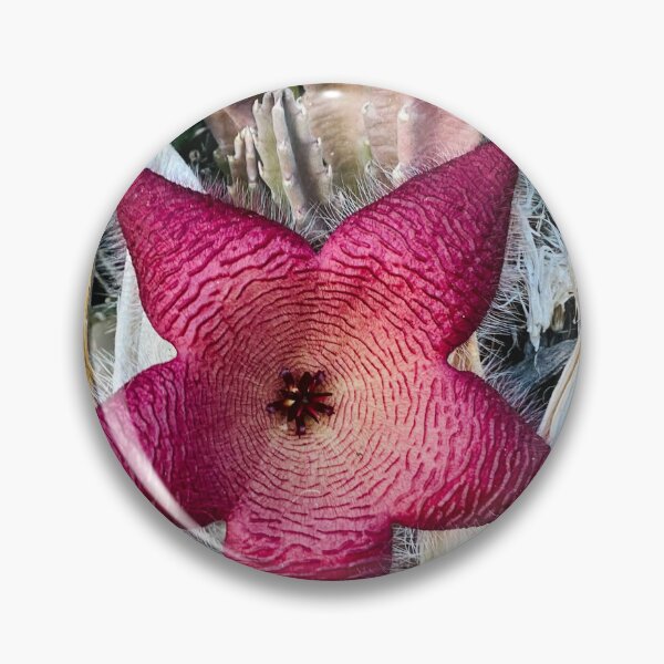 Item preview,  cactus flower 3 designed and sold by CrystalCoreArt.