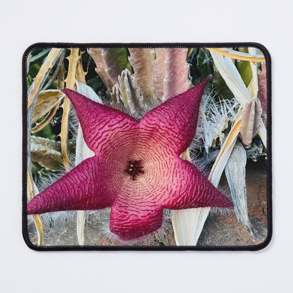 Item preview,  cactus flower 3 designed and sold by CrystalCoreArt.