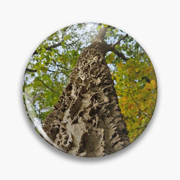 Item preview, The Mighty Northern Hackberry designed and sold by TheNatureNerd.