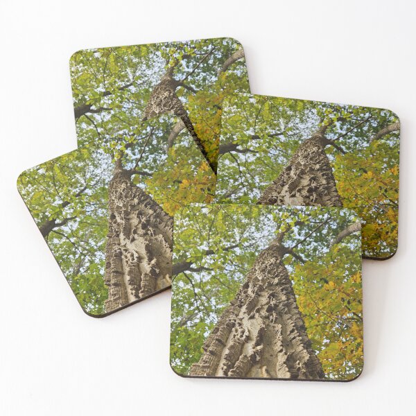 Item preview, The Mighty Northern Hackberry designed and sold by TheNatureNerd.