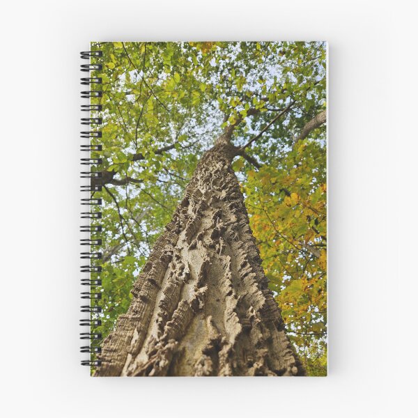 Item preview, The Mighty Northern Hackberry designed and sold by TheNatureNerd.
