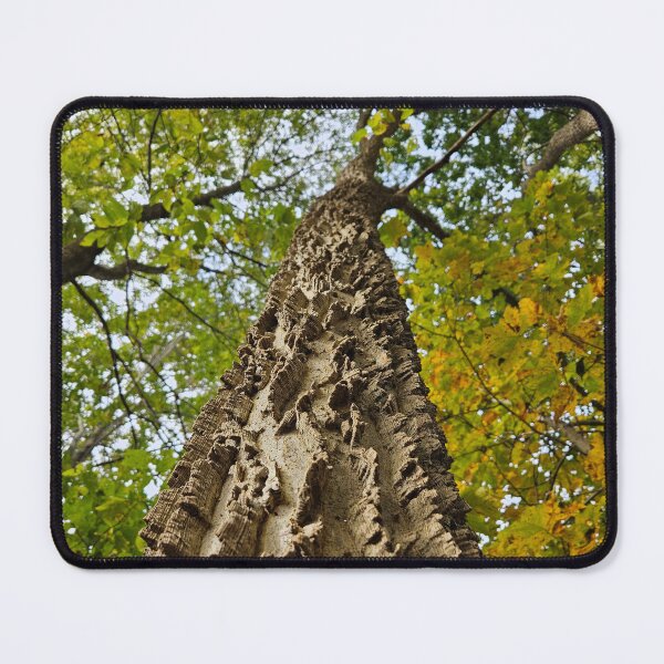 Item preview, The Mighty Northern Hackberry designed and sold by TheNatureNerd.