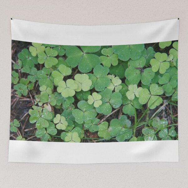 Item preview, water droplets on clover  designed and sold by El-images1.