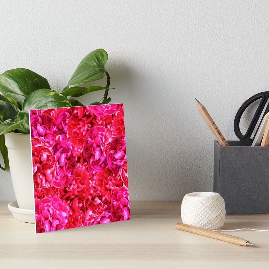 A palaver of peonies Art Board Print
