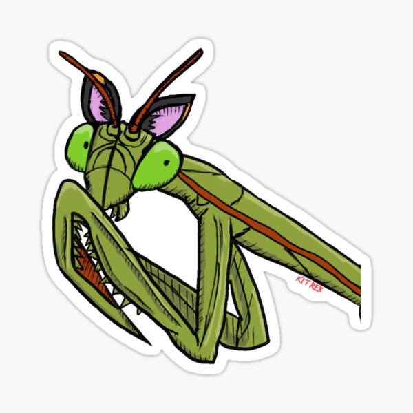 Item preview, Cat Eared Praying Mantis designed and sold by Kit Rex.