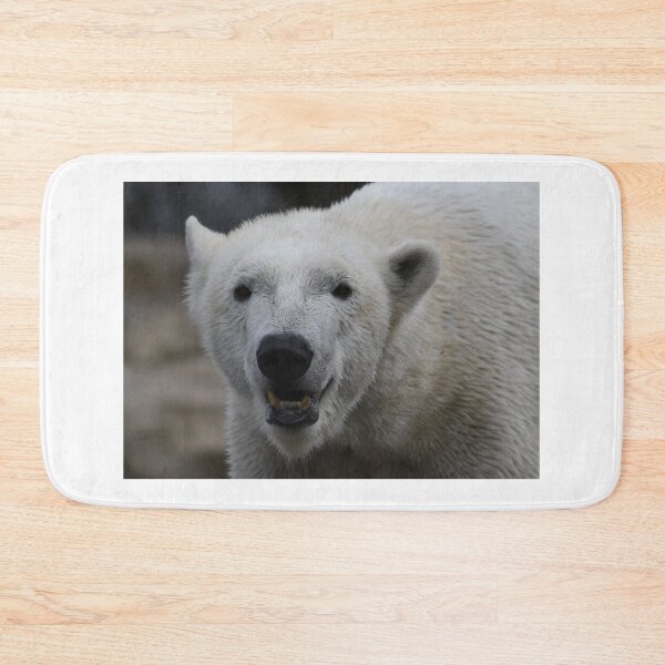 Item preview, Curious Polar Bear designed and sold by Kim Pruim.