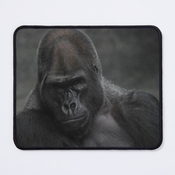 Item preview, Serious Silverback Gorilla designed and sold by Kim Pruim.