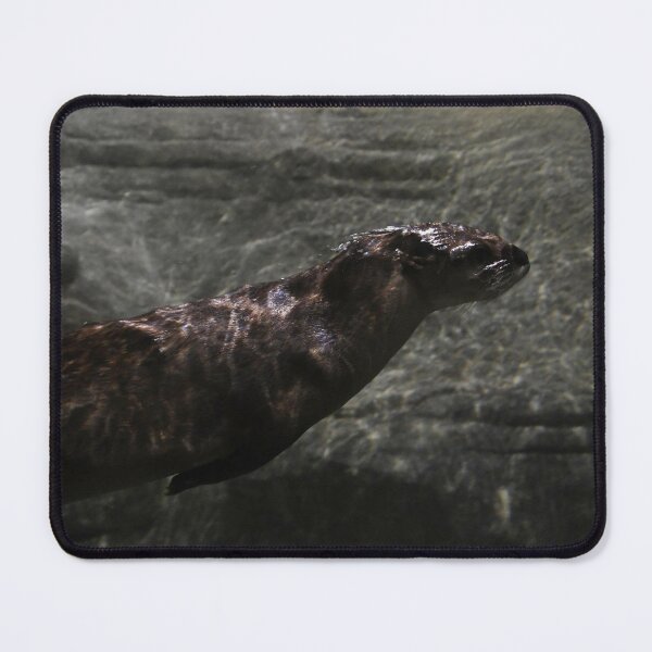 Item preview, Swimming River Otter designed and sold by Kim Pruim.