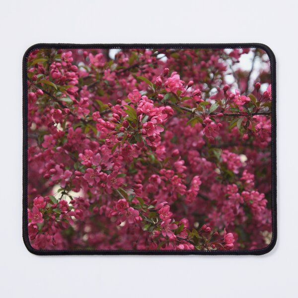 Item preview, Bright Blossoms designed and sold by Kim Pruim.