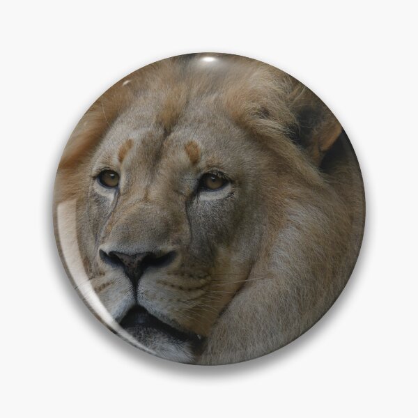 Item preview, Lion In Summer designed and sold by Kim Pruim.
