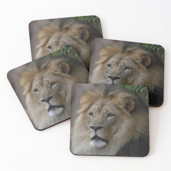 Item preview, Lion In Summer designed and sold by Kim Pruim.