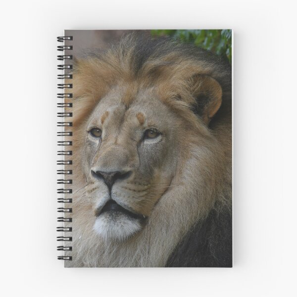 Item preview, Lion In Summer designed and sold by Kim Pruim.