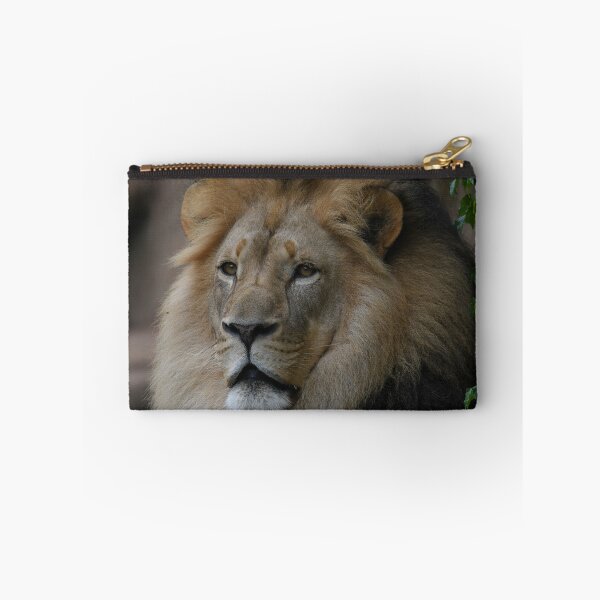Item preview, Lion In Summer designed and sold by Kim Pruim.