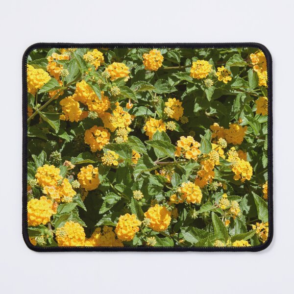 Item preview, Lantana designed and sold by jessyec.