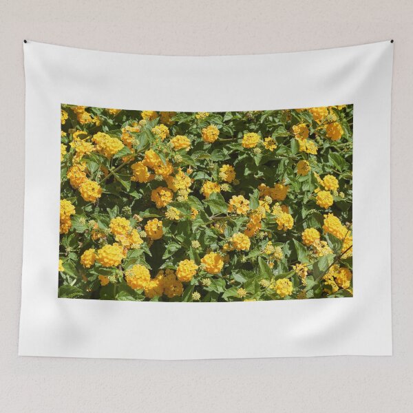 Item preview, Lantana designed and sold by jessyec.
