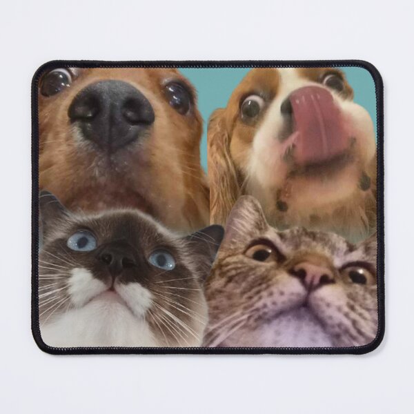 Item preview, The collection of Sogs designed and sold by Catgang64.