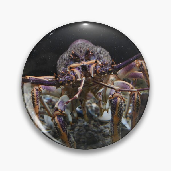 Item preview, Posing Crab designed and sold by Kim Pruim.